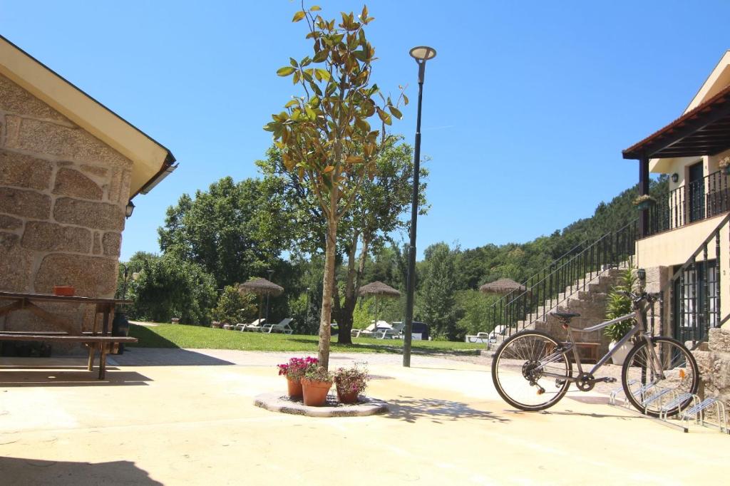 阿马兰特Aldeia do Tâmega的停在建筑物旁边的树旁的自行车