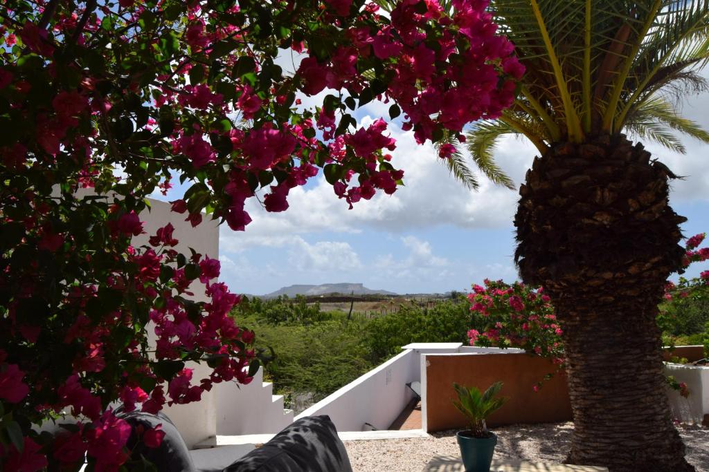威廉斯塔德Saint Joris a tiny Boutique Resort的棕榈树和粉红色花卉的景色