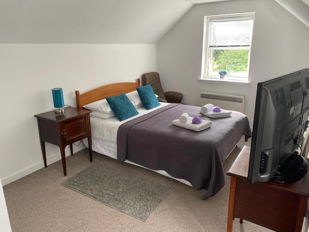 基里缪尔Cosy self-contained flat in Kirriemuir的一间卧室配有一张带蓝色枕头的床和一台电视。