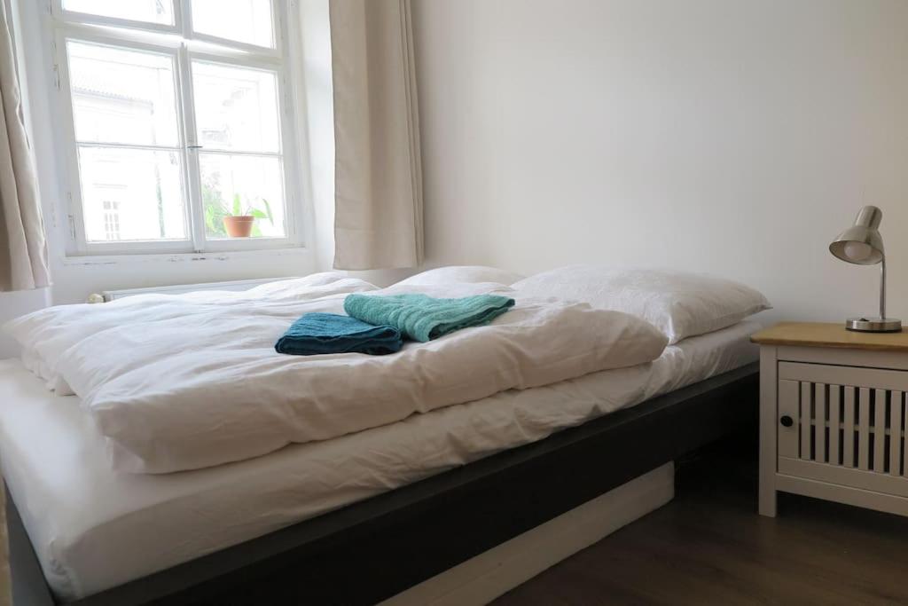 布拉格Hradčany apartment with green energy的一张床上,里面放着两条毛巾