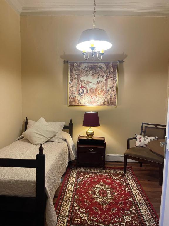 圣地亚哥Casa dos Leones的一间卧室配有床、灯和地毯