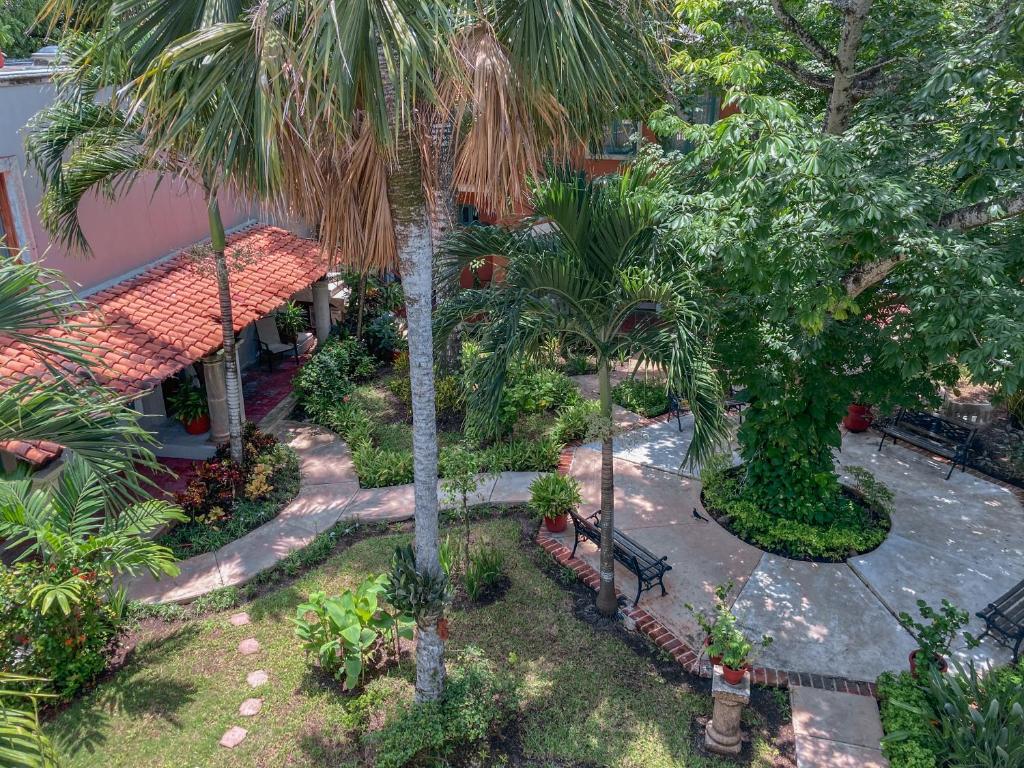 科苏梅尔Hacienda Camelot的享有棕榈树花园的顶部景致