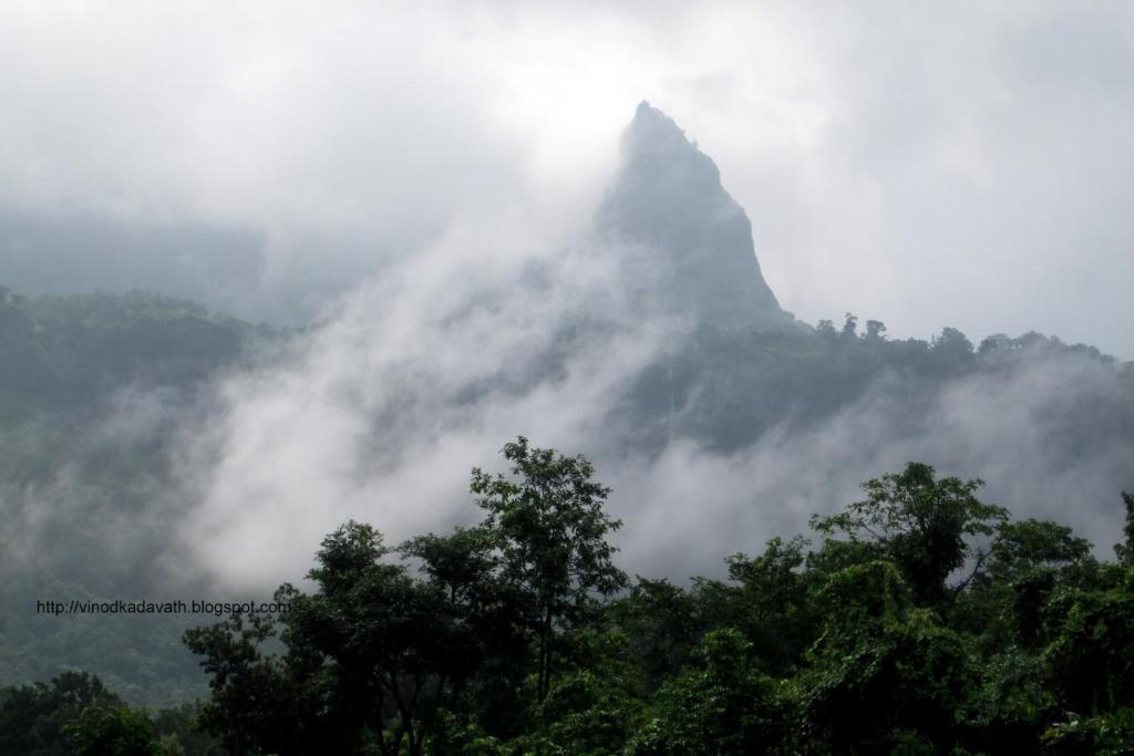 卡尔贾特Camp Agastya Karjat Bhimashankar的山地,被云朵遮蔽,在前方有树木