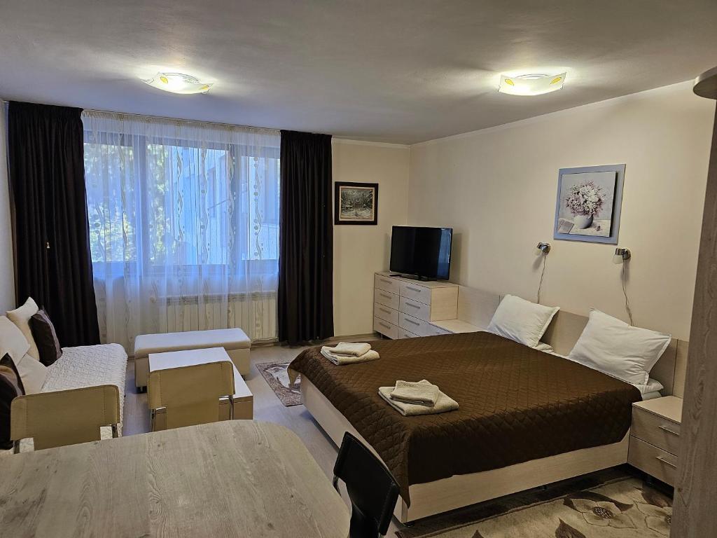波罗维茨Apartments in Borovets Gardens的一间卧室设有一张床和一间客厅。