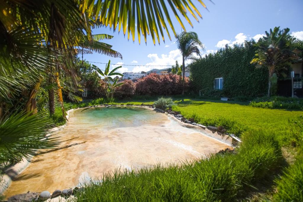 伊科德洛斯维诺斯Espacio Antares的棕榈树庭院里的一个小水池