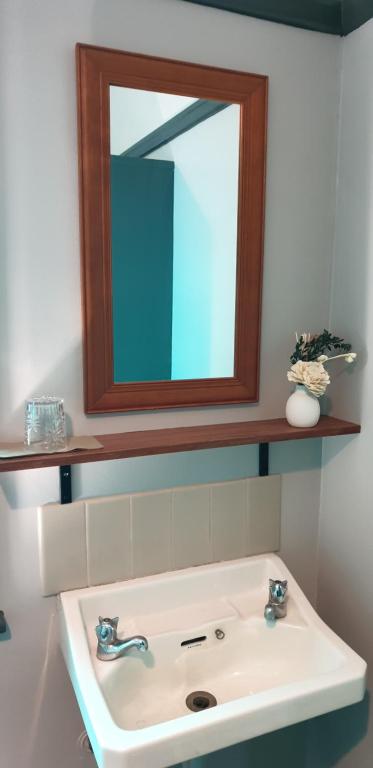 沃勒格尔Club Hotel Warragul的浴室设有水槽和墙上的镜子