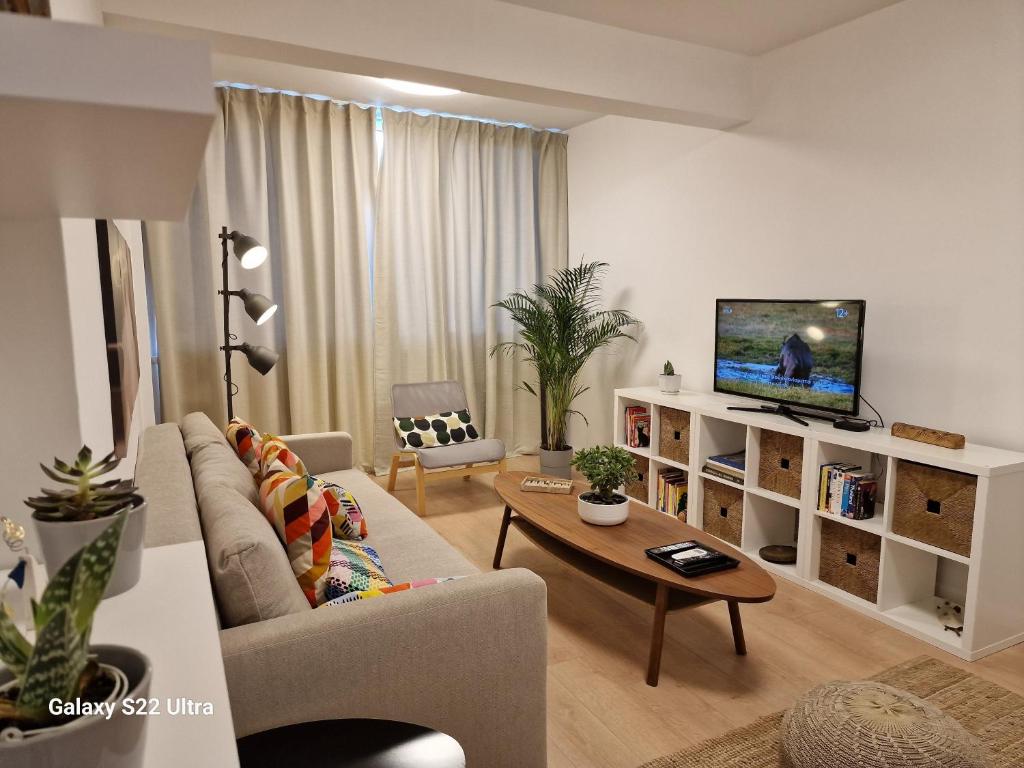 尼科西亚City Center Apartment的带沙发和电视的客厅