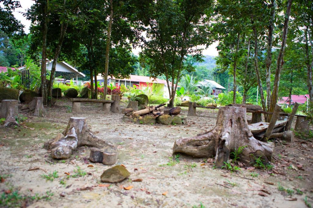 铅CAMPSITE CMM YAN KEDAH的公园里的一群树木和长椅