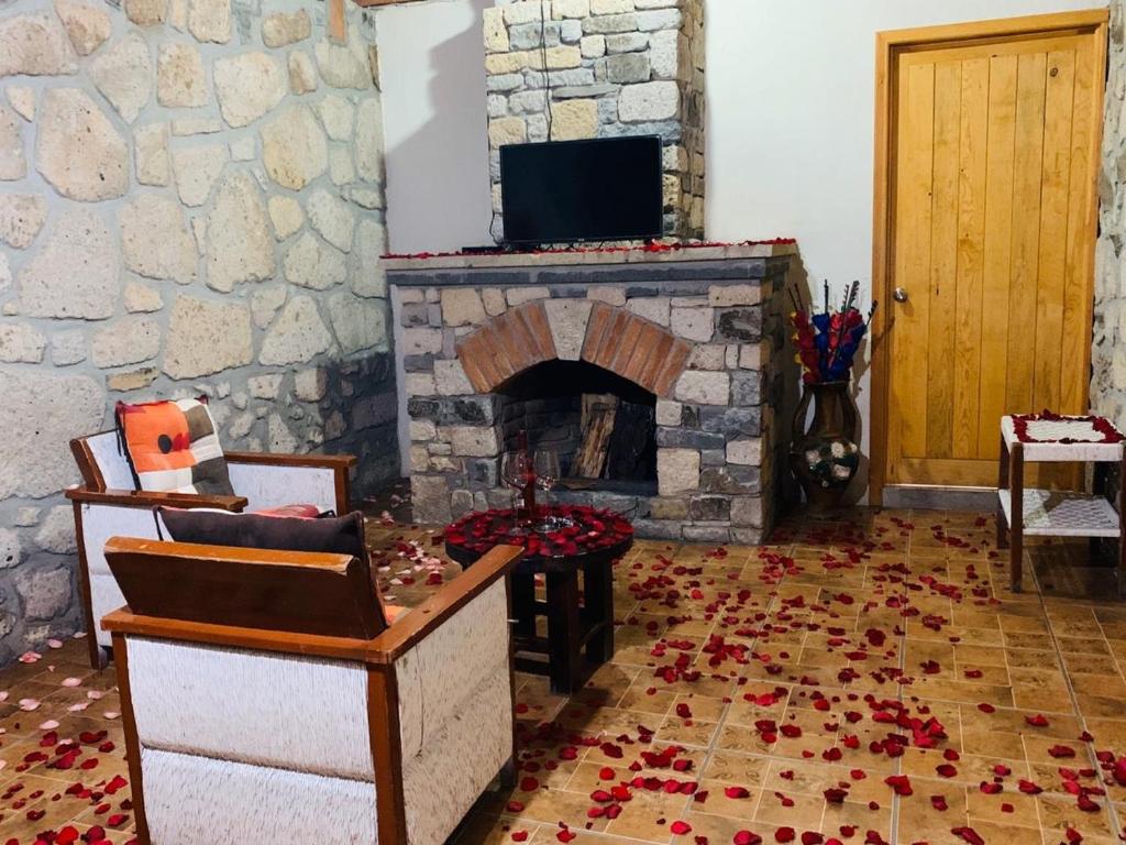 圣米格尔雷格拉Cabañas Los Cactus的客厅设有石制壁炉和电视。