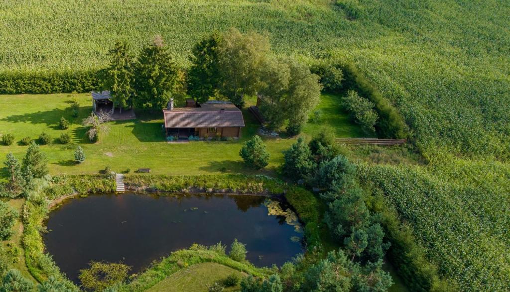 Lingių-PadvarninkaiCasa de campo sauna cabin的房屋和池塘的空中景致