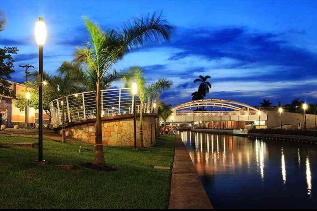 坦皮科Departamento Centro Historico de Tampico的一条有棕榈树和路灯的河流