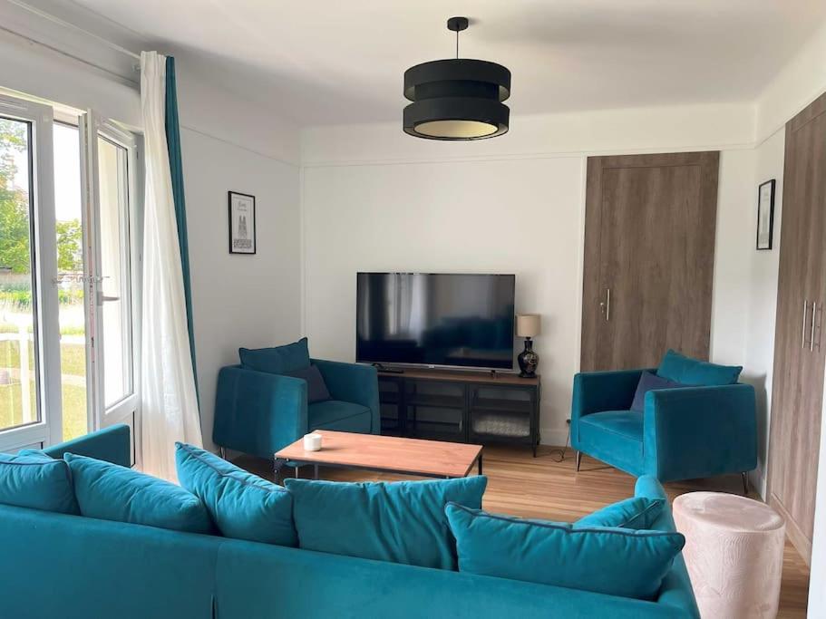 兰斯GÎTES Maisons de Champagnes的客厅配有蓝色的沙发和电视