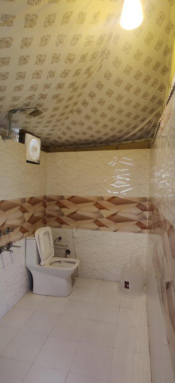 达兰萨拉Beaumont Glamping Eco Resort的一间带卫生间的浴室和一个带写字台的天花板