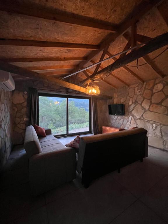 KumlucaOlympos Ceratonia Dağ evi的客厅设有两张沙发和一个大窗户