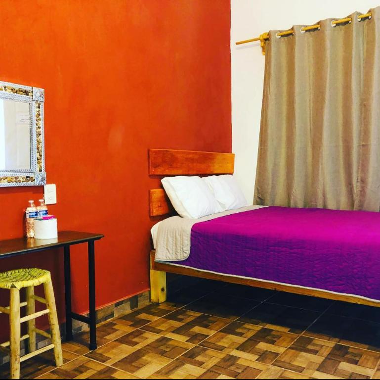 塔马索波Hotel Pedregal的卧室配有1张床、1张桌子和1把椅子