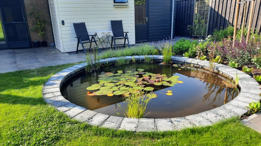 巴勒哈姆斯泰德B&B ZEEUWS KNOOPJE的院子里一个有百合垫的池塘