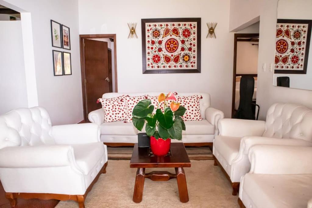 锡帕基拉Soare Country house的客厅配有白色的沙发和植物桌子