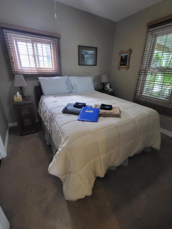 尼亚加拉瀑布Your Oasis in Niagara Falls Canada的一间卧室,配有一张大床,上面有蓝色文件夹