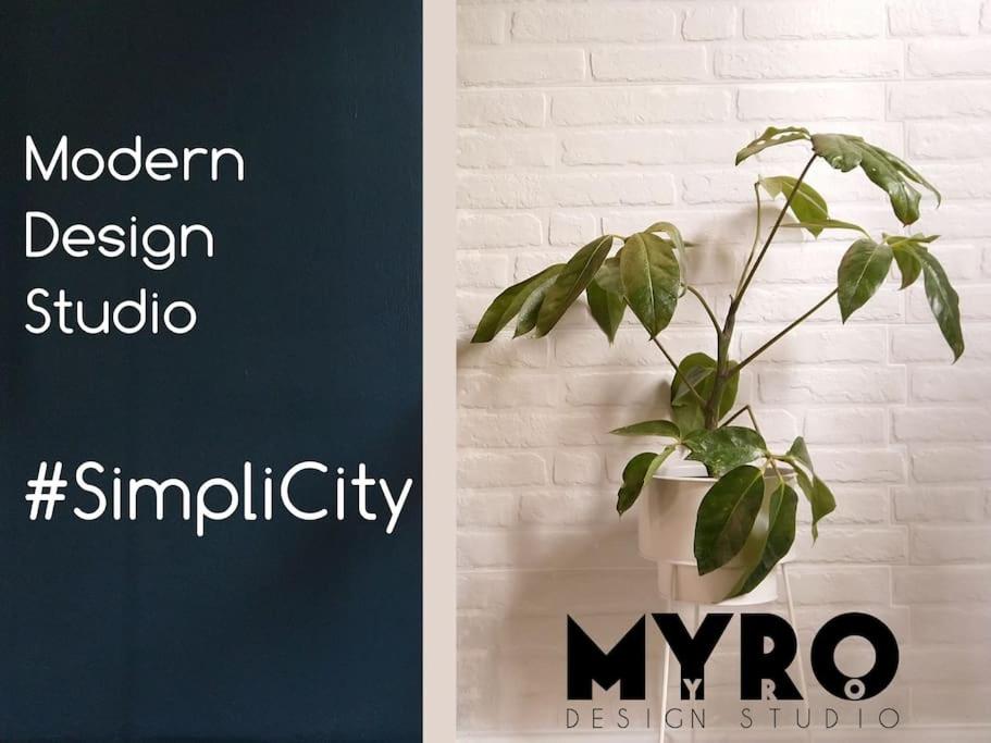 米蒂利尼#SimpliCity Modern Design Studio的挂在墙上的盆里的植物