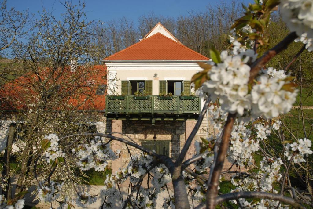 KáptalantótiSárga Ház的带阳台的白色花房