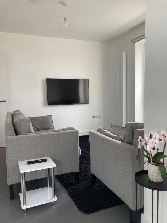 巴尔金CASA DE' COLE'的客厅配有2张沙发和1台平面电视