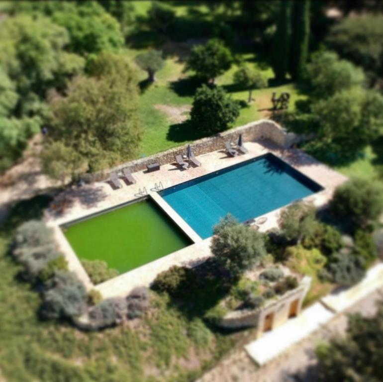 阿尔科斯-德拉弗龙特拉Cortijo Bablou - Maison de vacances的花园游泳池的顶部景色