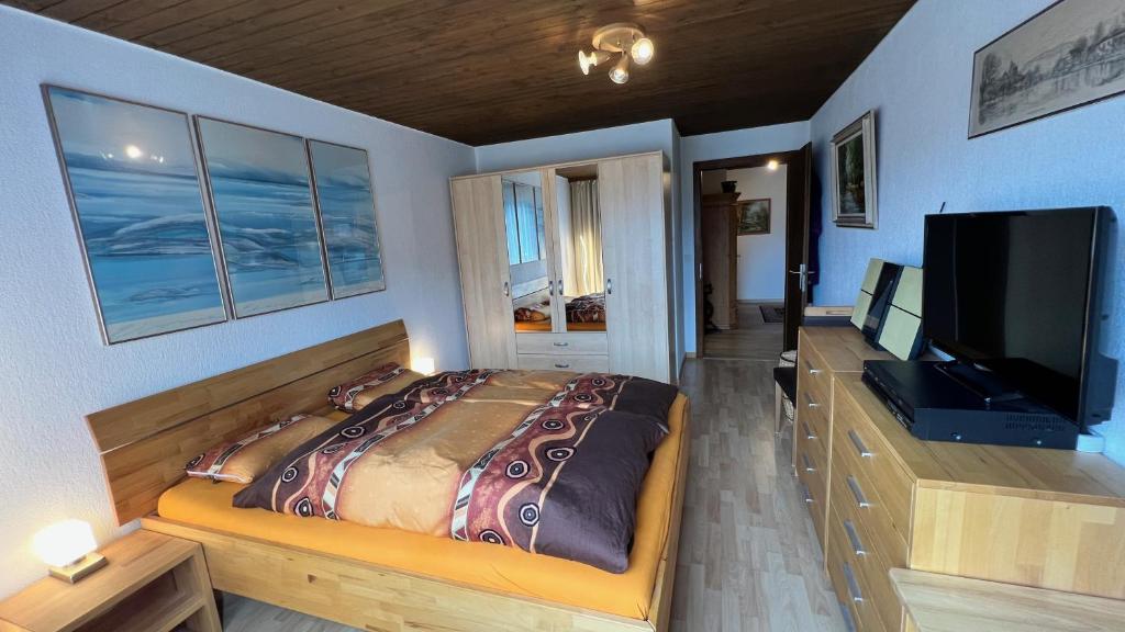 艾姆敦Alpenblick Loft neben Skilift in Amden Arvenbüel的一间卧室配有一张床和一台平面电视