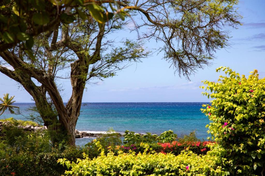 卡普鲁亚K B M Resorts: Napili Point NAP-A25 Stunning 1-Bedroom Ocean Front Villa Prime Location Turtle Views Includes Rental Car的花园享有海景。