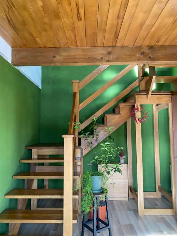 瑟切莱Grandma’s Cottage的绿色客房,设有木制楼梯和植物