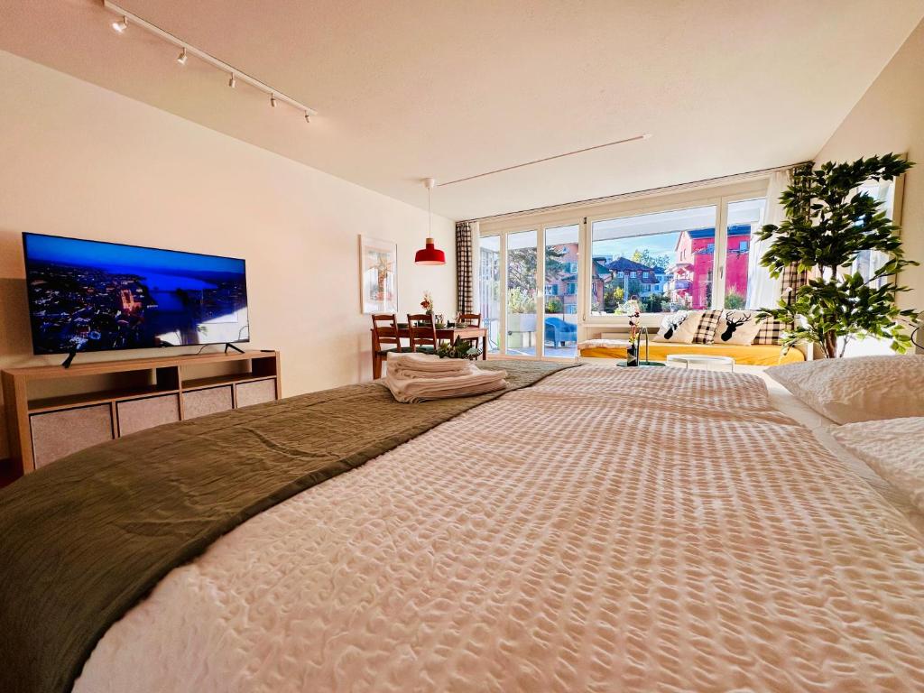 苏黎世New Studio with sunny terrace的一间大卧室,配有一张大床和平面电视