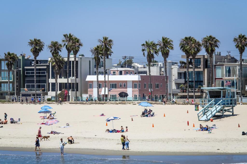 洛杉矶海滩威尼斯酒店的一群人,在棕榈树海滩上