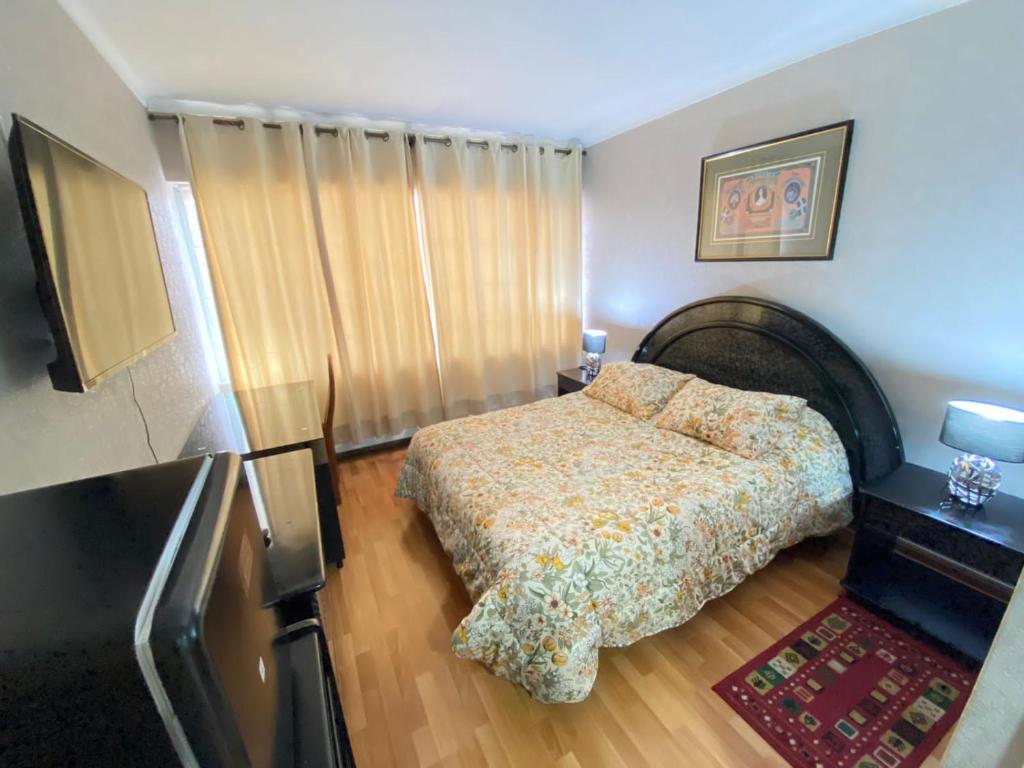 康塞普西翁NEW HOTEL CRUZ DEL SUR的一间小卧室,配有一张床和电视