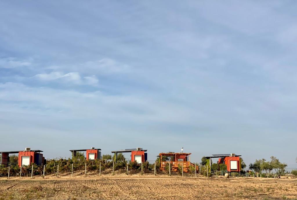 瓜达鲁佩镇Xaroma的田野里一排红色火车车厢