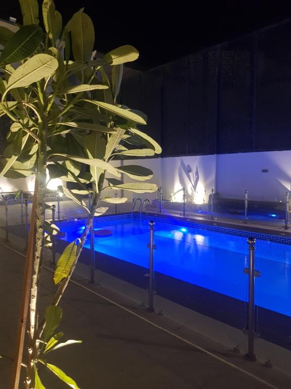 Abyār ‘Alīمورايا Murraya的游泳池,晚上在前沿种植植物