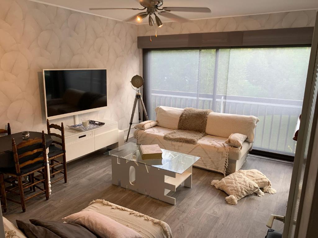 维拉尔-德朗Appartement cocooning的带沙发和电视的客厅