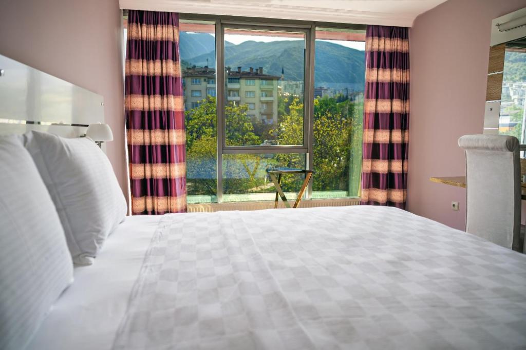 伯萨TOK EPİK HOTEL的一间卧室设有一张床和一个大窗户