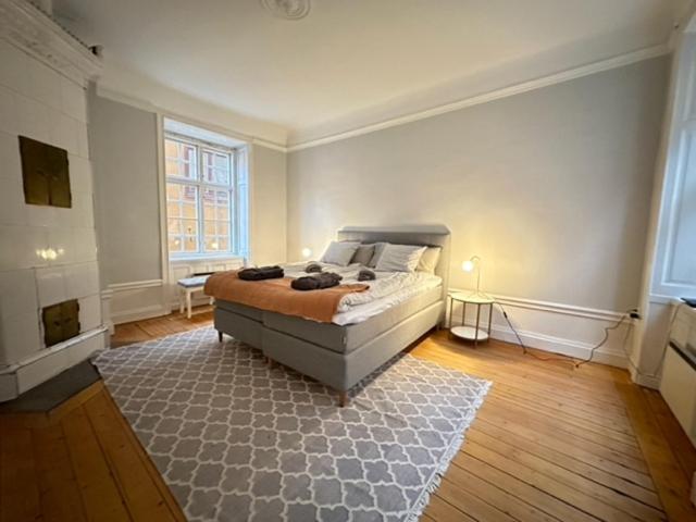 斯德哥尔摩Gamla Stan的一间大卧室,配有床和地毯