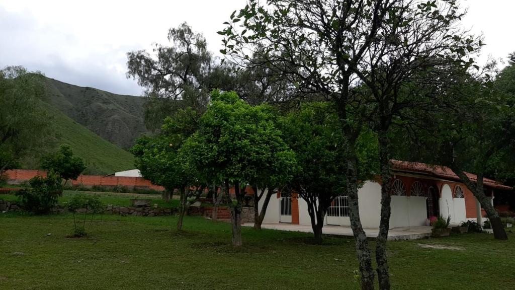 塔里哈Cabañita Villa Bella Tarija的房屋前的一群树木