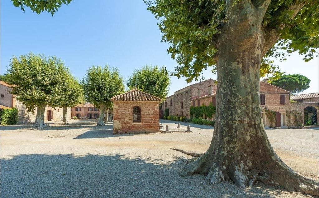 阿莱尼阿Mas Sant Jordi的庭院中一棵树,有一座建筑