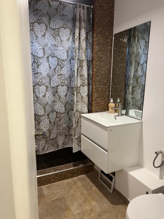 巴克乌Green Apartament的浴室配有白色水槽和淋浴。