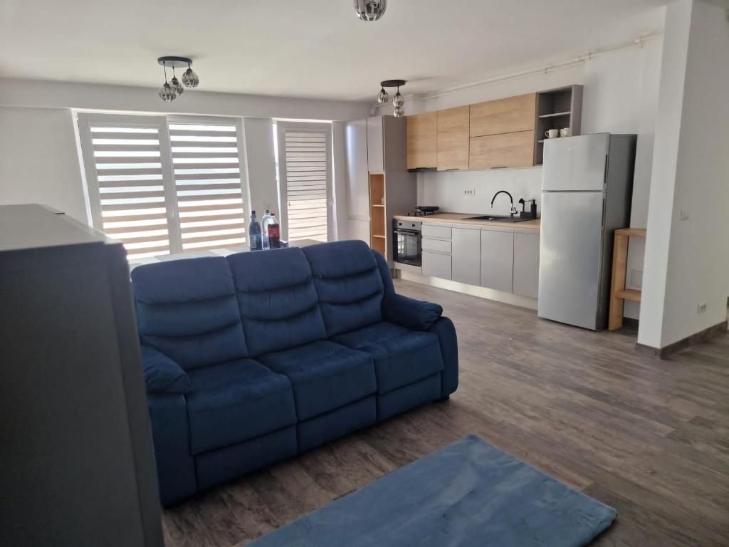 普洛耶什蒂Raluca cozy apartment's的一间带蓝色沙发的客厅和一间厨房