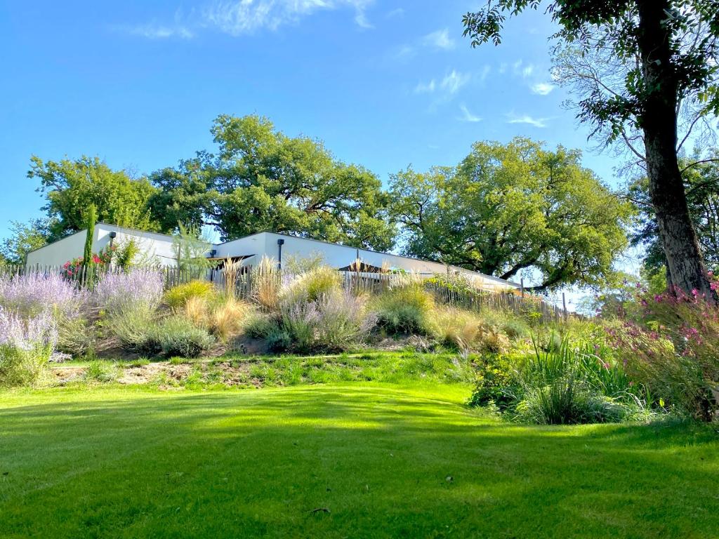阿尔比Chambres avec Jacuzzi privatif - Kassiopée Bed & Spa的一座带绿色庭院的山丘上的房子