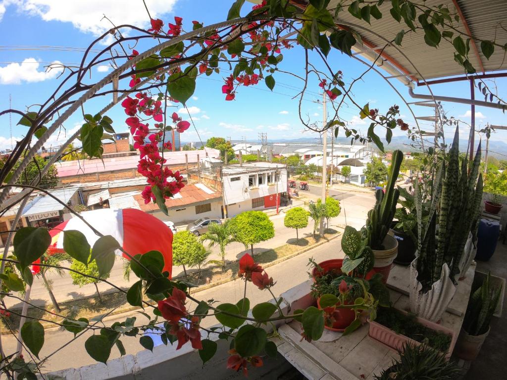 塔拉波托Hostel Flor del Valle的阳台享有城市美景,种植了植物。