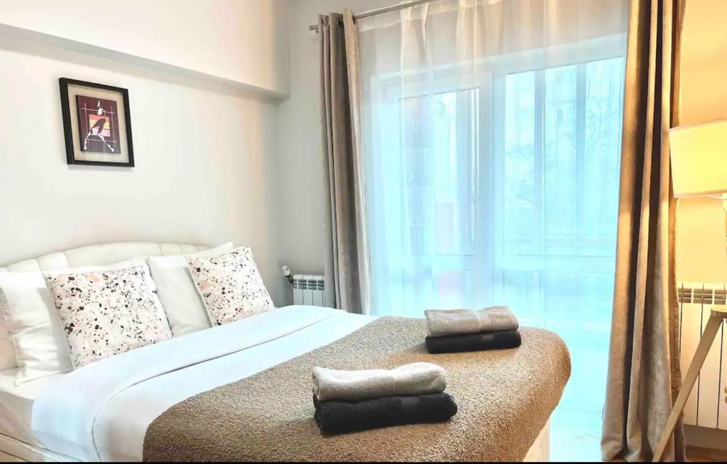 旧扎戈拉Amazing 2 bedrooms Modern Apartment in Stara Zagora的一间卧室配有带两个枕头的床和窗户