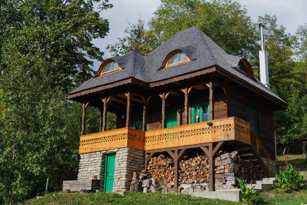 BerteaLa sat - Mândră Ioană的屋顶上的小房子