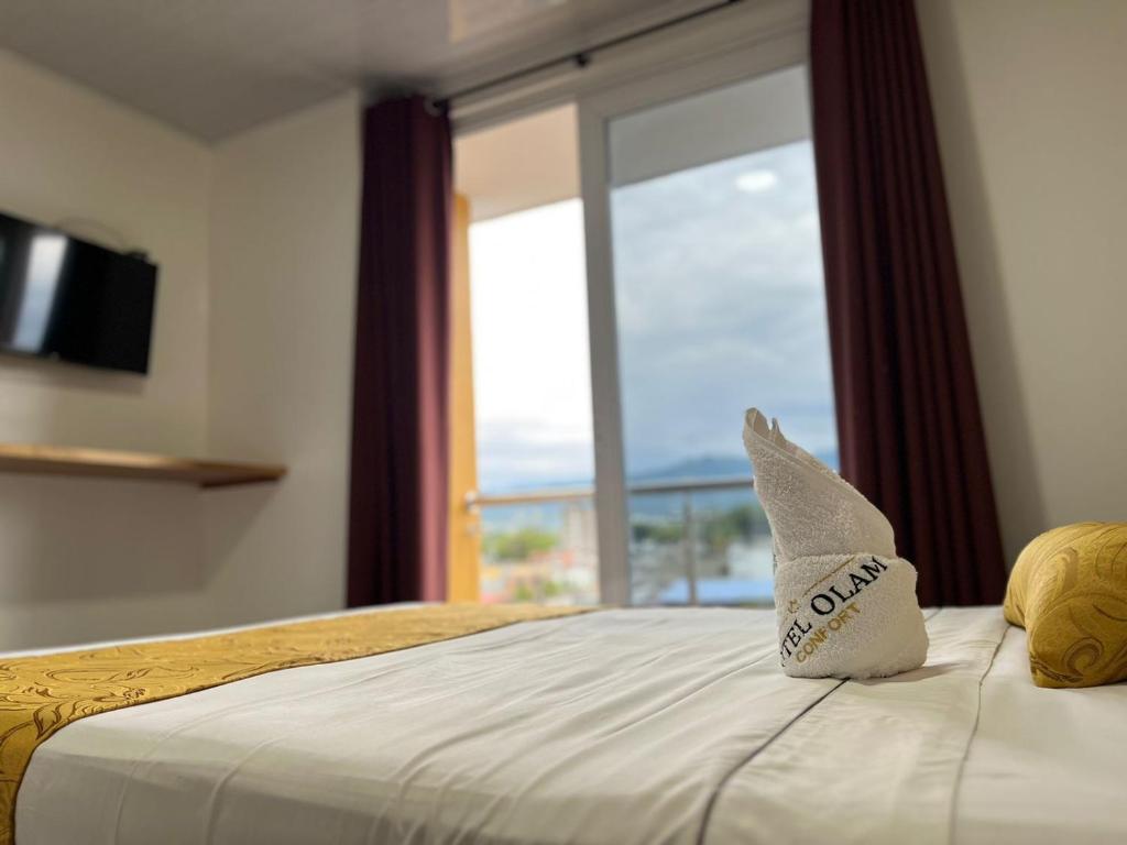 比亚维森西奥Hotel Olam Confort的酒店客房设有床和窗户。