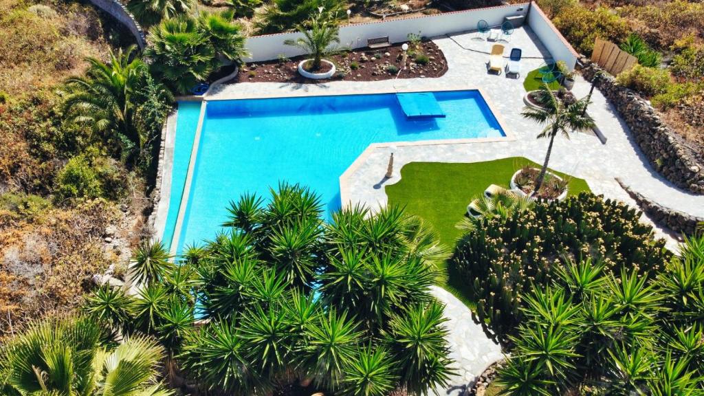 伊科德洛斯维诺斯Finca Vino Tinto 5s的享有棕榈树游泳池的顶部景致