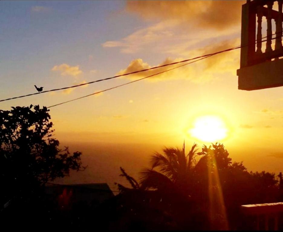"SunRise Inn" Nature Island Dominica的天上鸟飞的日落
