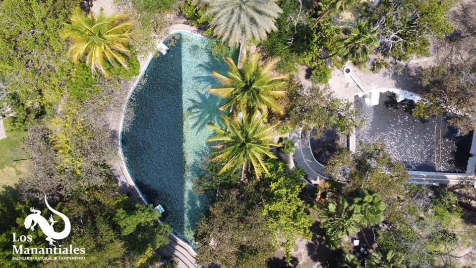 CoaxitlanBalneario Natural Los Manantiales的棕榈树泳池的空中景致
