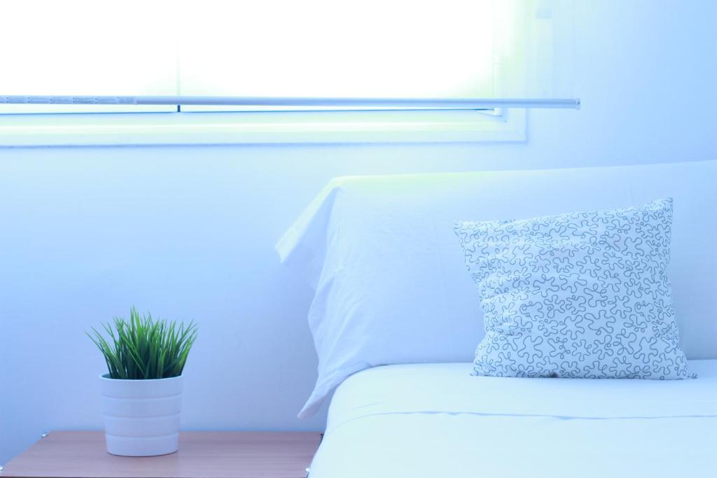 毕尔巴鄂苏维亚城市客房旅馆的配有枕头和盆栽的白色床